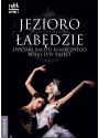 Plakat - Royal Lviv Ballet - 